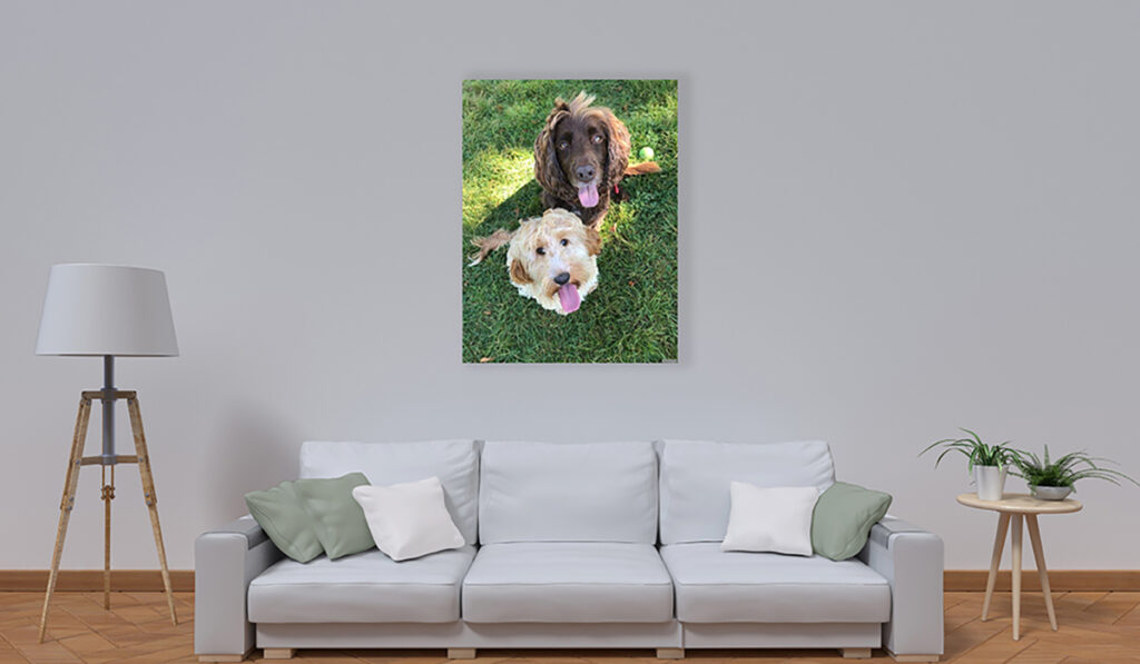 Inspire el cuadro con la imagen de un perro personalizado