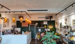 Cumbre de Herschel Black en la cafetería y la tienda de plantas