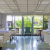 Calefactores de techo Herschel Comfort en un hospital