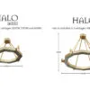Comparación de tamaños de Halo Mini