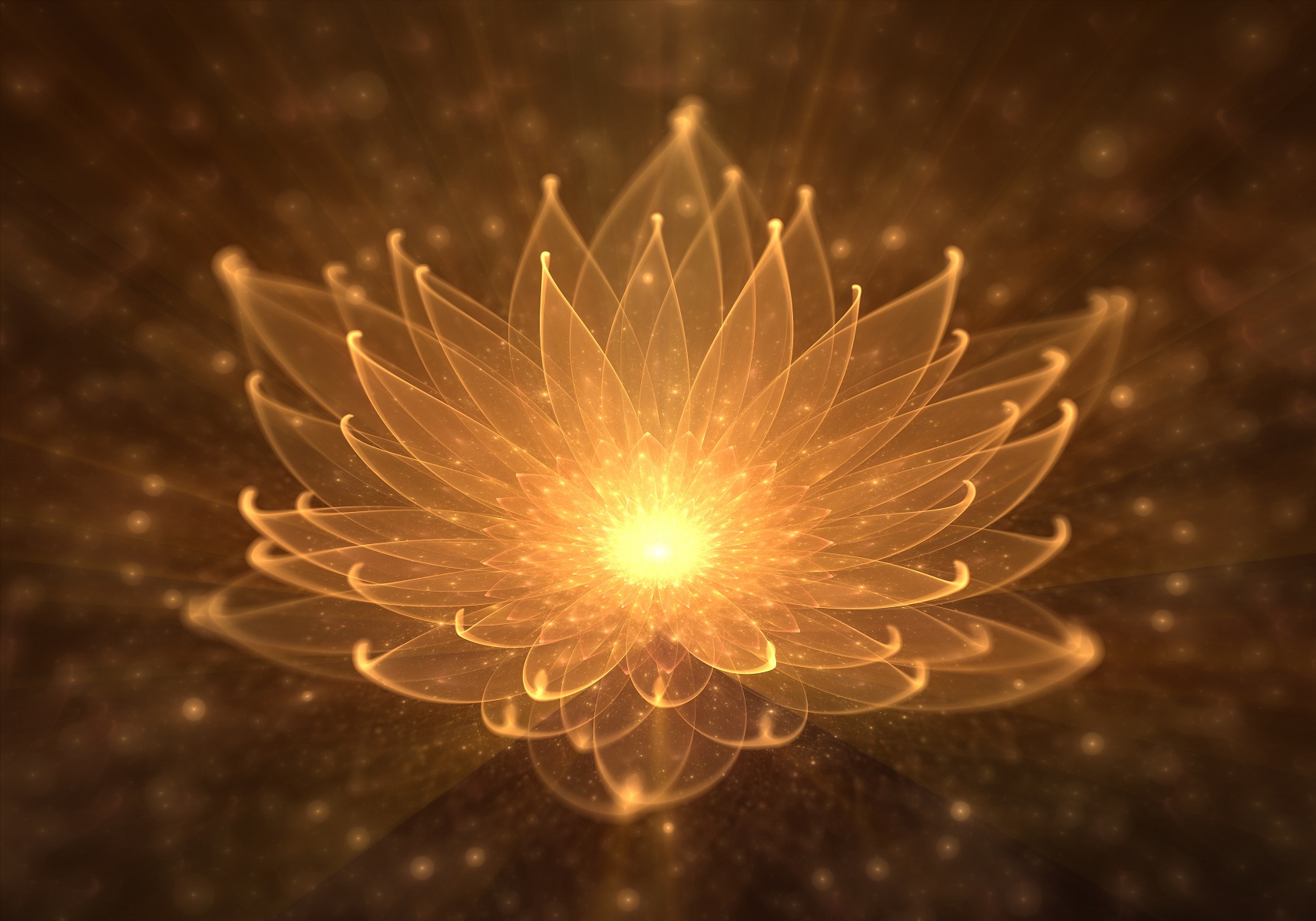 Imagen de flor de loto radiante