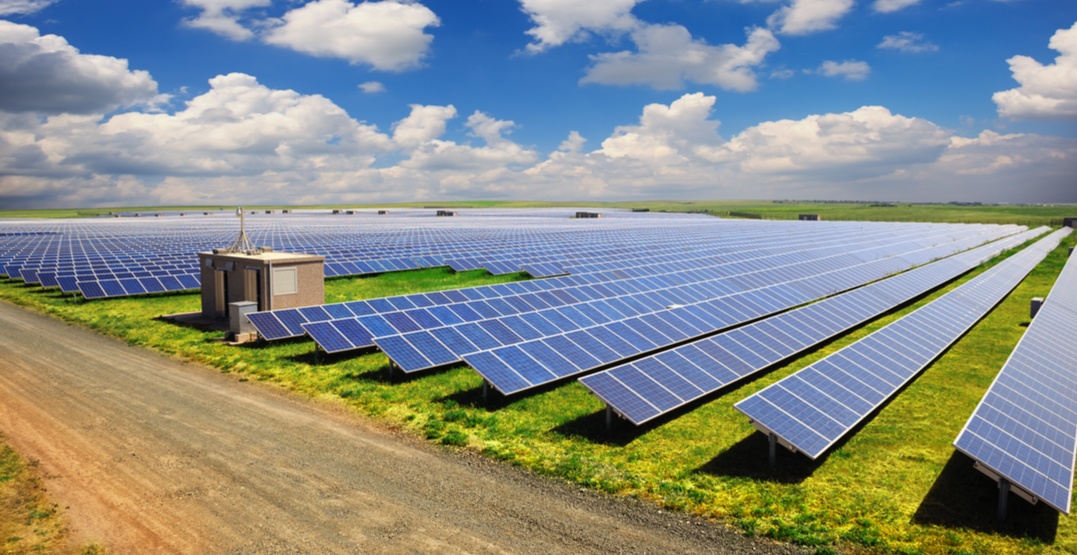 Campo de paneles solares