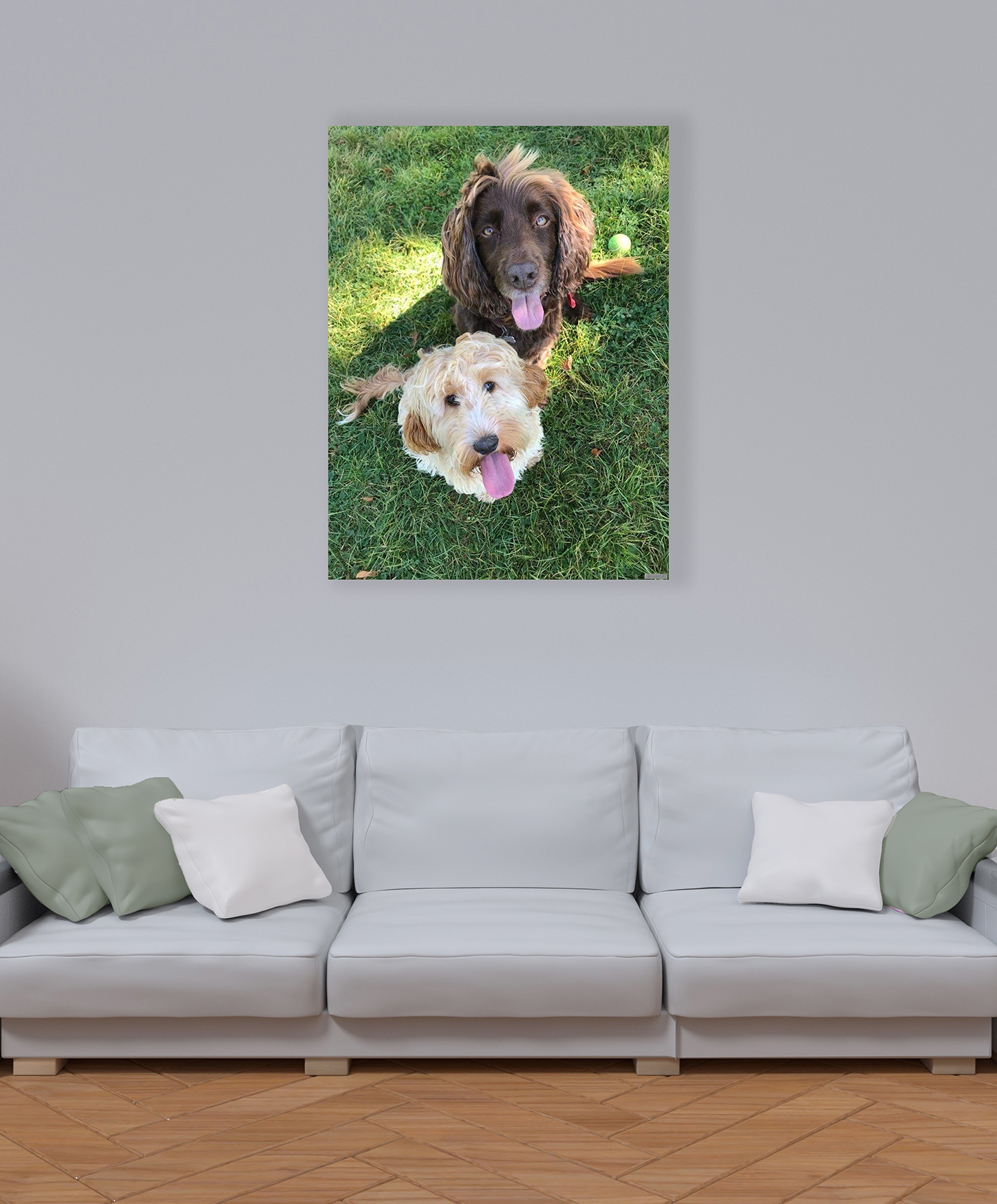 Panel de imágenes que muestra dos perros instalados en la sala de estar.