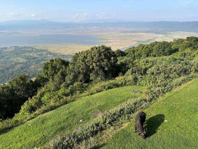 El hotel Ngorongoro Melia está calefactado con paneles calefactores Herschel Comfort.