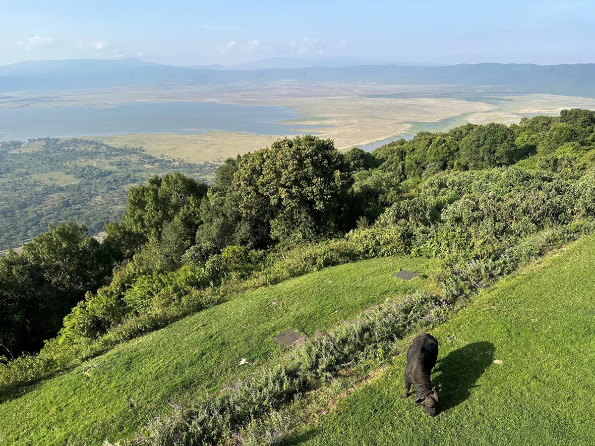 El hotel Ngorongoro Melia está calefactado con paneles calefactores Herschel Comfort.