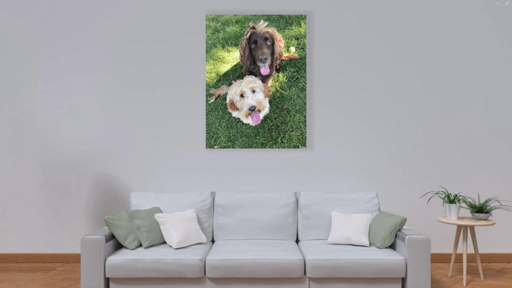 Picture poster image