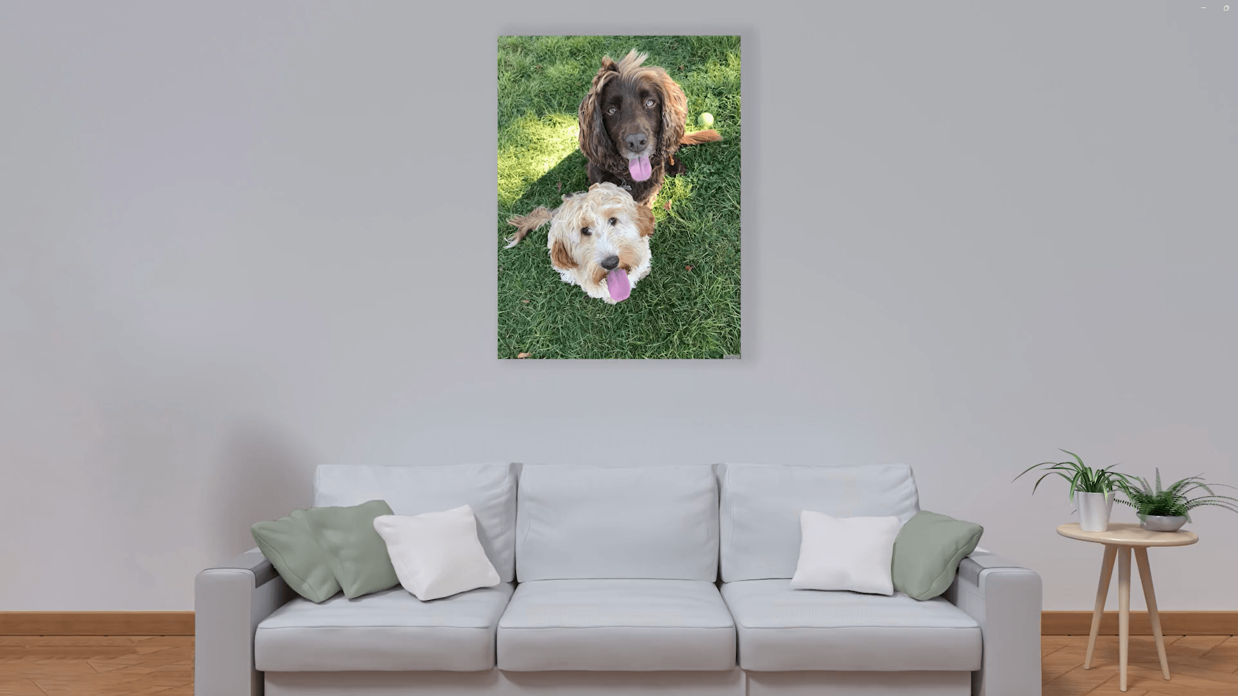 Picture poster image