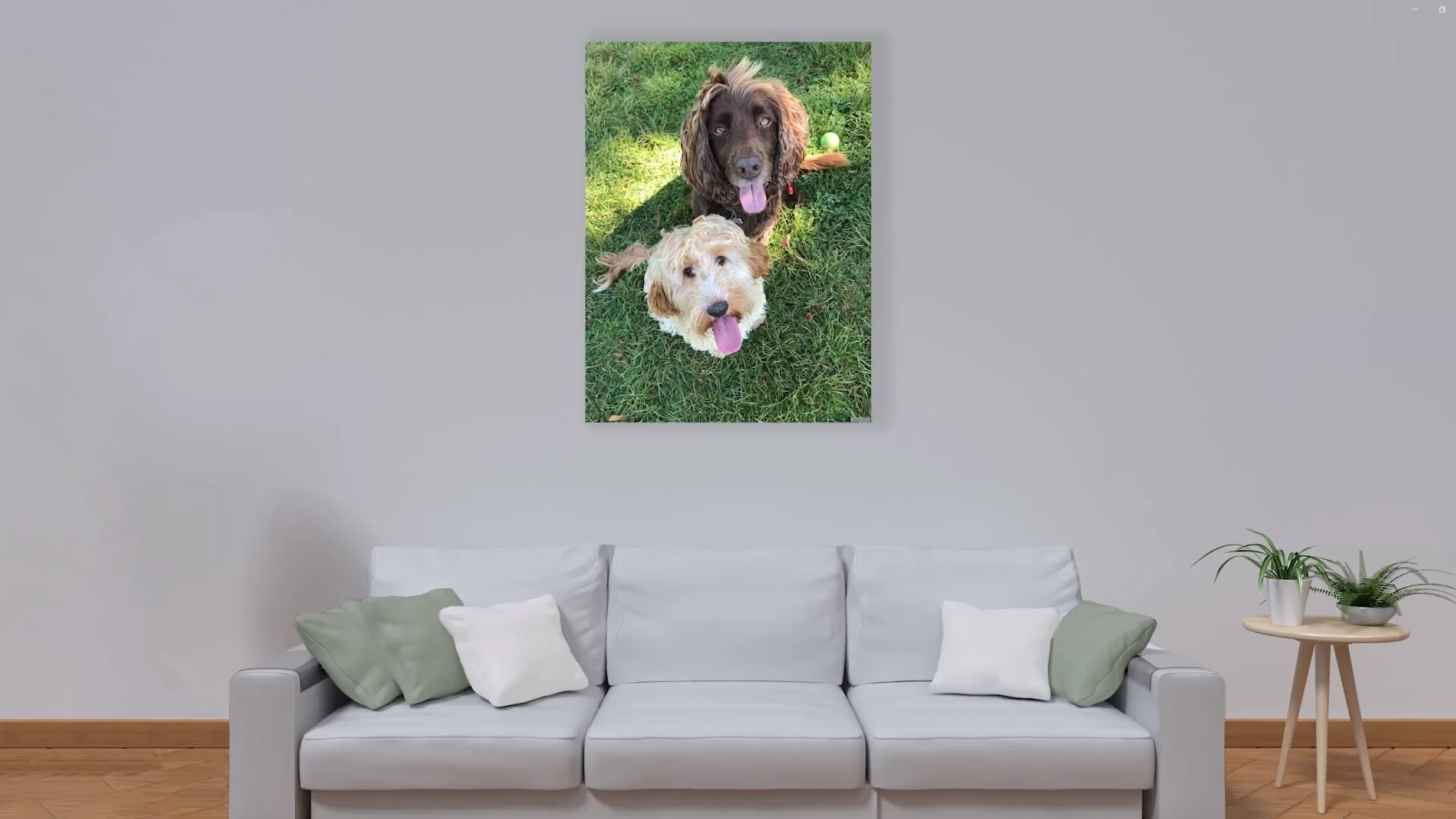 Picture poster image